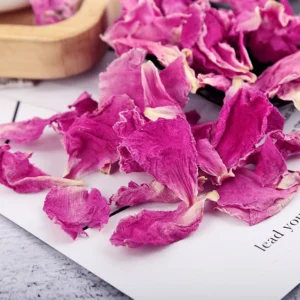 my-11134207-7r98z-lxif7vsw5z0051.webp High Quality Dried Peony Petal