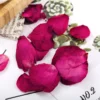 my-11134207-7r992-llye3l0s8wczbc.webp High Quality Natural Rose Petals