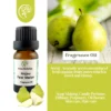 my-11134207-7rasb-m2rhcjuzdgkm2c.webp Anjou Pear Melon Fragrance Oil