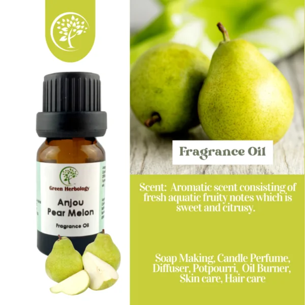 my-11134207-7rasb-m2rhcjuzdgkm2c.webp Anjou Pear Melon Fragrance Oil