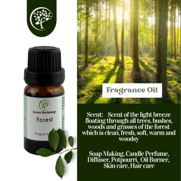 my-11134207-7rash-m2riw5x5lmzm04.webp Forest Fragrance Oil