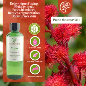 my-11134207-7rasi-m29ptvipq333b7.webp Cold Pressed Castor Oil With ISO 9001 Cert For Soap Making Facial Oil Body Oil Carrier Oil