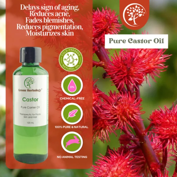 Cold Pressed Castor Oil With ISO 9001 Cert For Soap Making Facial Oil Body Oil Carrier Oil