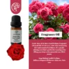 Wildland Rose Fragrance Oil