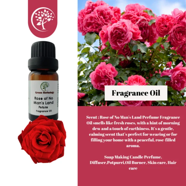 Wildland Rose Fragrance Oil