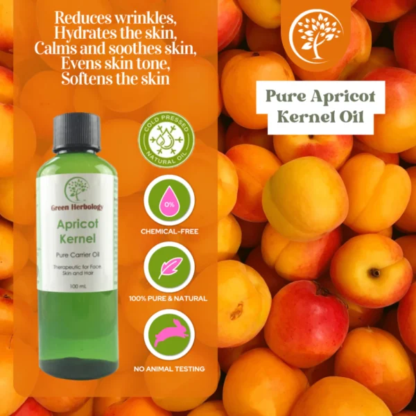 Cold Pressed Apricot Kernel Oil For Soap Making Facial Oil Body Oil Carrier Oil