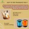 Wildland Rose Fragrance Oil