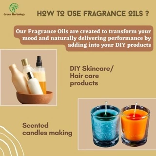 Wildland Rose Fragrance Oil