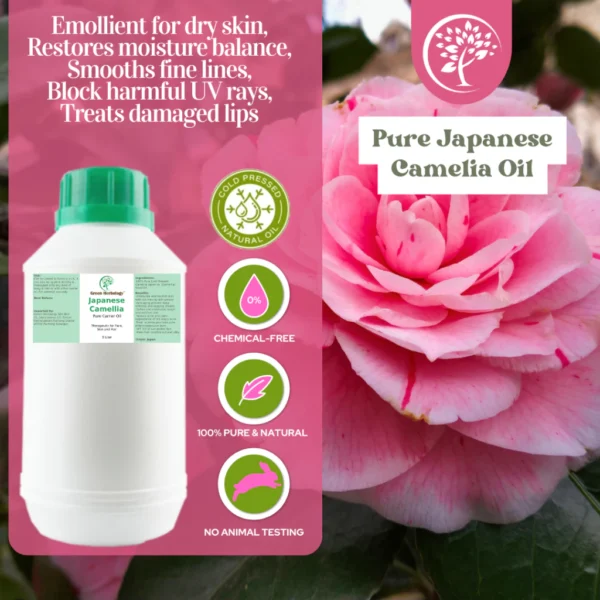 my-11134207-7rask-m29qbus6j7kvfe.webp Cold Pressed Japan Camellia Oil For Soap Making Face Oil Body Oil Carrier Oil