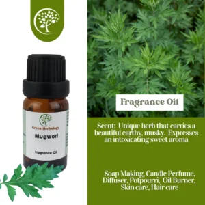 Mugwort Fragrance Oil