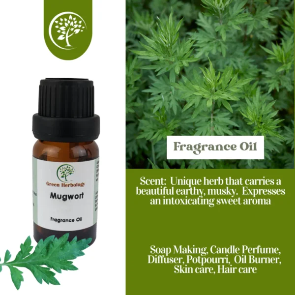 my-11134207-7rasl-m2rhsqww59r674.webp Mugwort Fragrance Oil