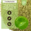 my-11134207-7rasm-m1p8bcgh6ejr40.webp Centella Powder For DIY Soap Making Face Mask Powder