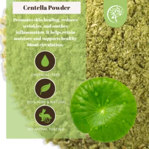 my-11134207-7rasm-m1p8bcgh6ejr40.webp Centella Powder For DIY Soap Making Face Mask Powder